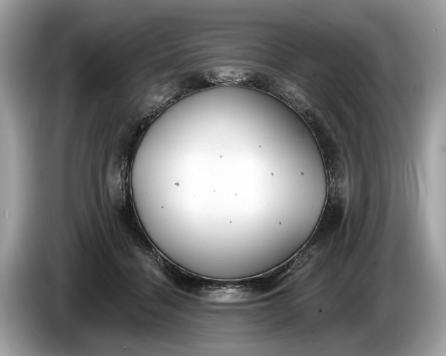 X0000085080460200703191328