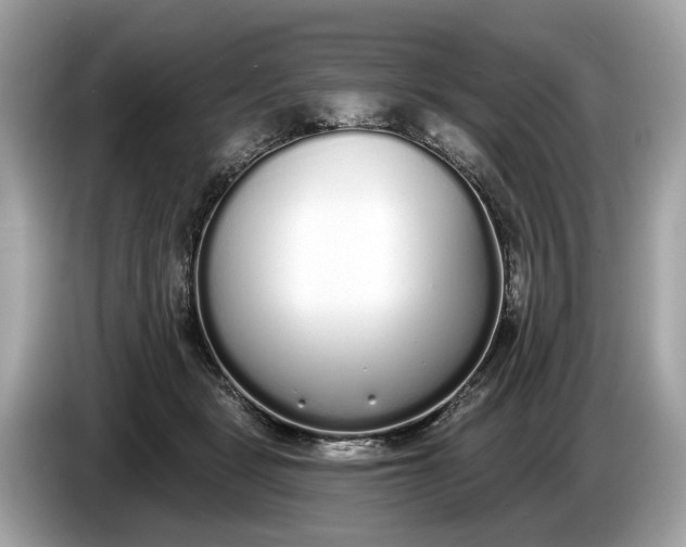 X0000085080461200703191328