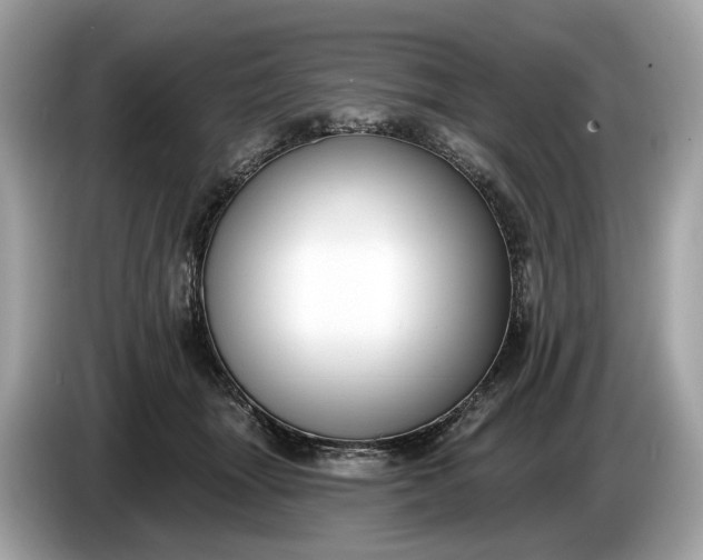 X0000085080463200703191328