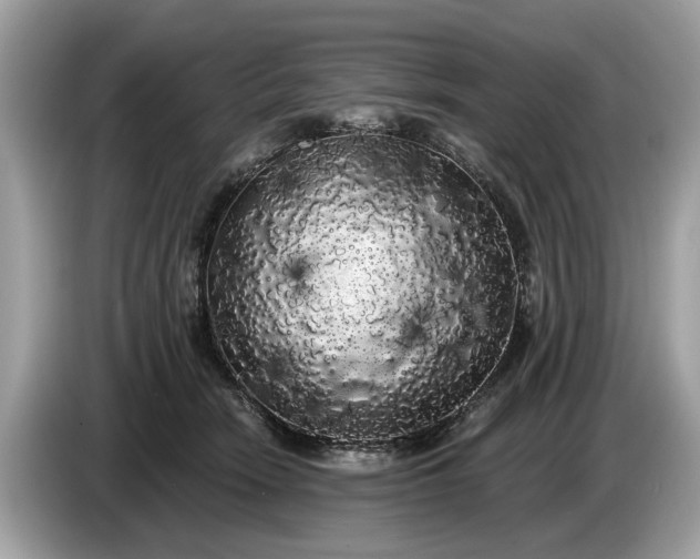 X0000085080466200703191328