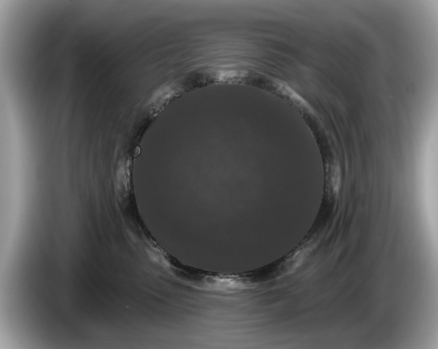 X0000085080475200703191328