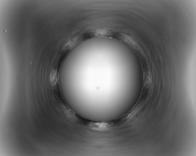 X0000085080478200703191328