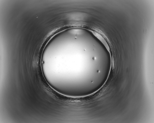 X0000085080483200703191328