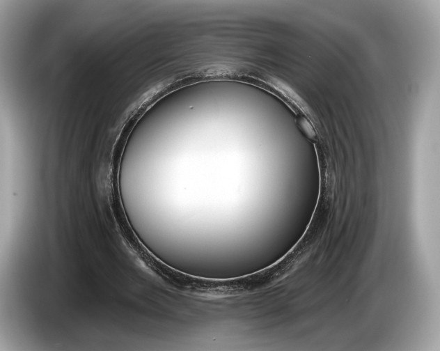 X0000085080485200703191328