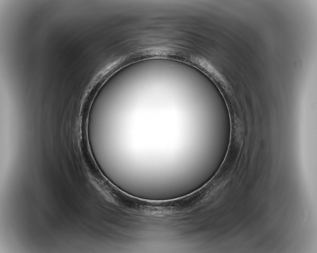 X0000085080486200703191328