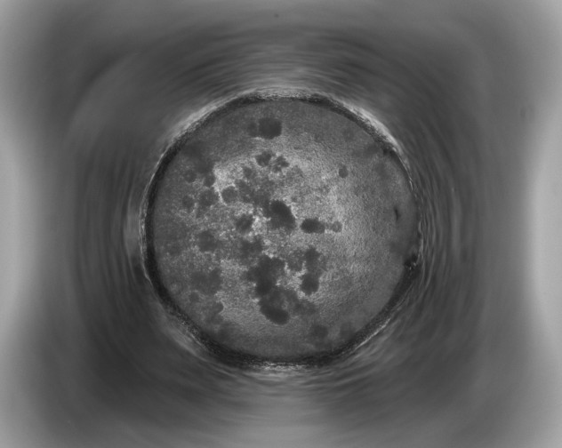 X0000085080487200703191328