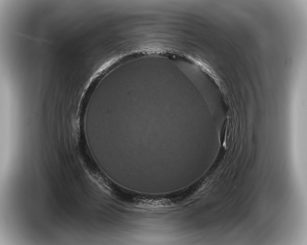 X0000085080488200703191328