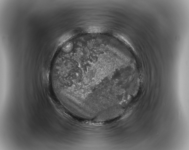 X0000085080491200703191327