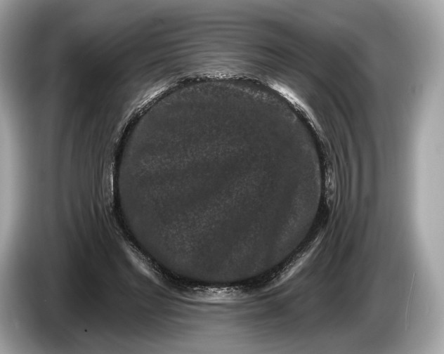 X0000085080493200703191327