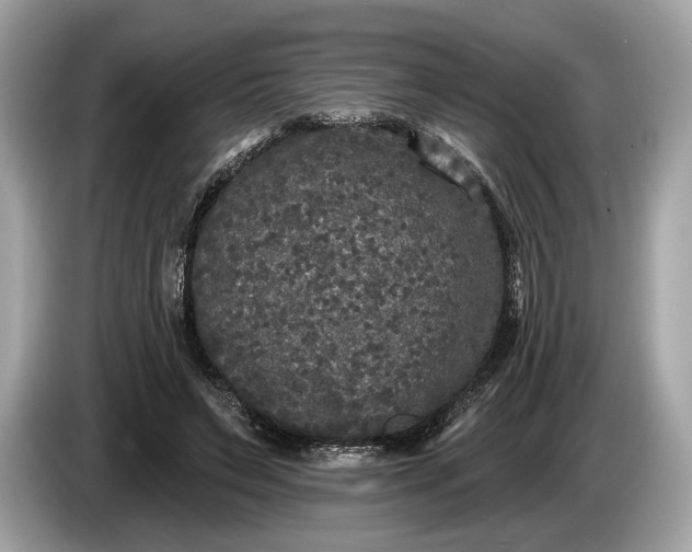 X0000085080495200703191327