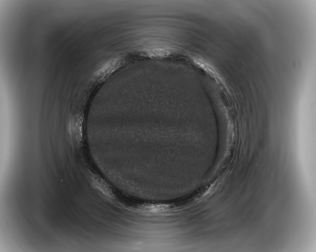 X0000085080501200703191327