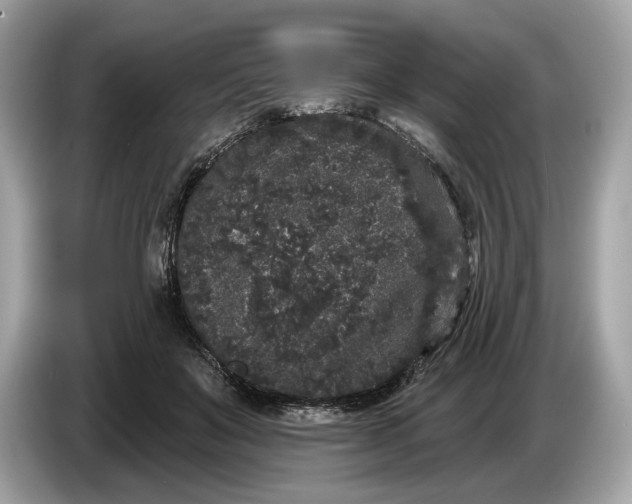 X0000085080503200703191327