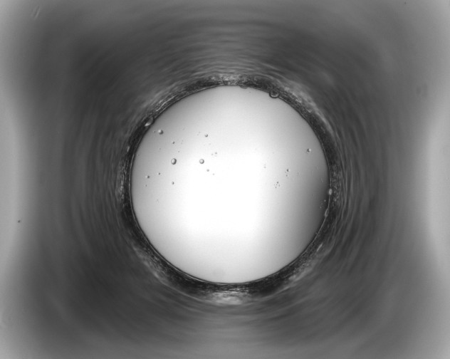 X0000085080505200703191327