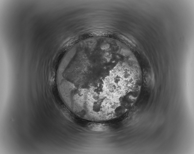 X0000085080507200703191327