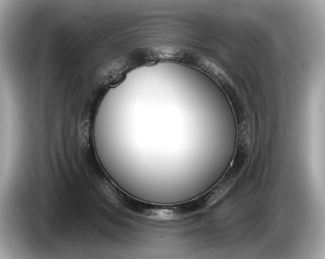 X0000085080509200703191327