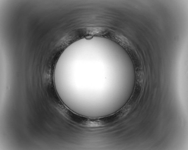 X0000085080510200703191327