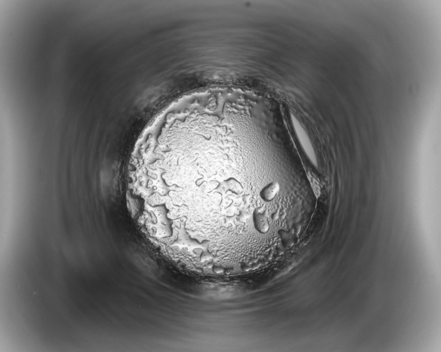 X0000085080511200703191327