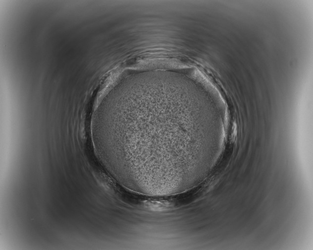 X0000085080512200703191327