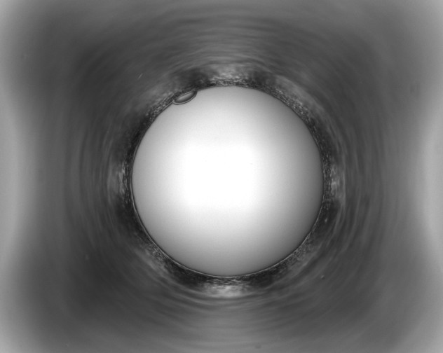 X0000085080514200703191327