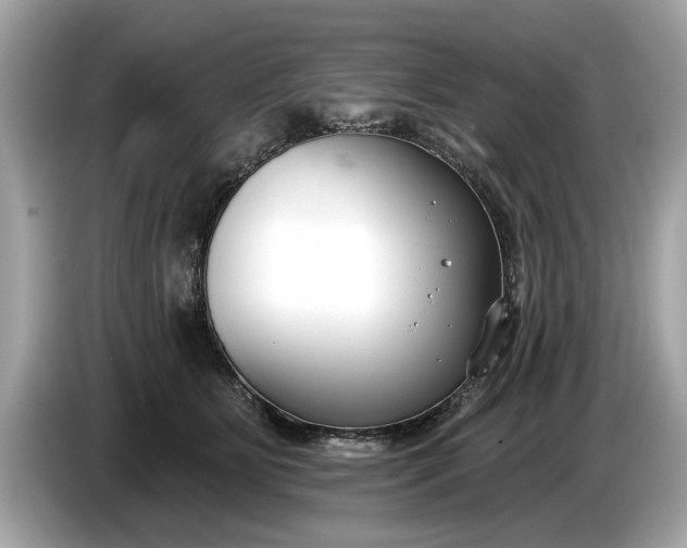 X0000085080515200703191327