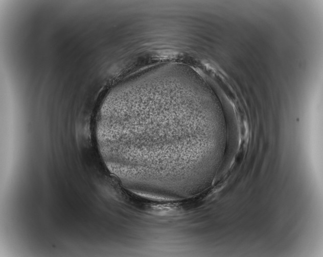 X0000085080516200703191327