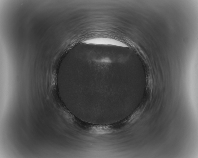 X0000085080517200703191327