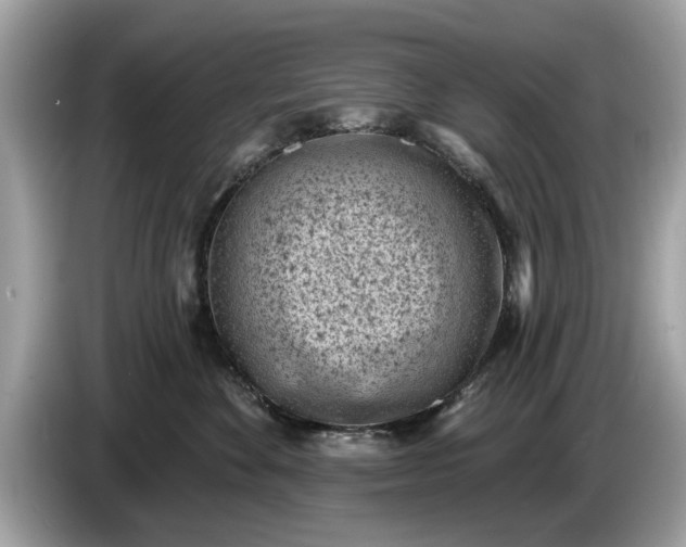 X0000085080524200703191327