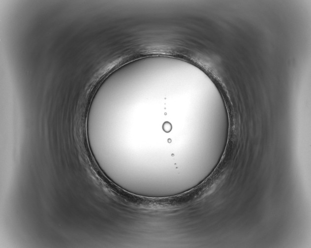 X0000085080529200703191326