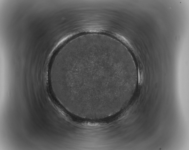 X0000085080531200703191326