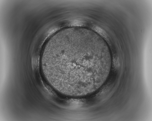 X0000085080534200703191326