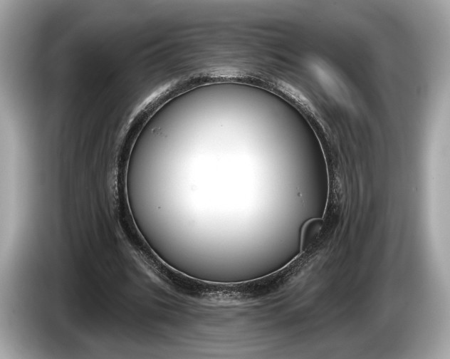 X0000085080535200703191326