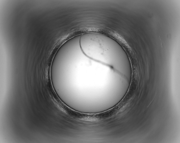 X0000085080537200703191326