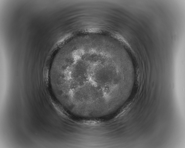 X0000085080542200703191326