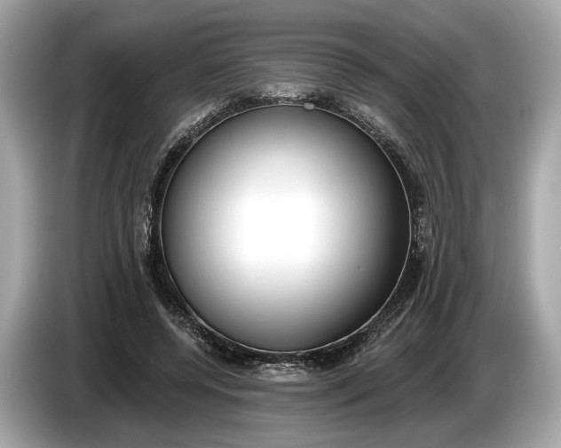 X0000085080544200703191326