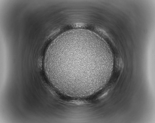 X0000085080545200703191326