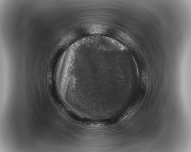 X0000085080547200703191326