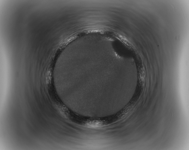 X0000085080551200703191327