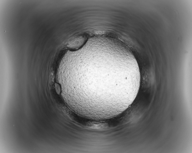 X0000085080555200703191327