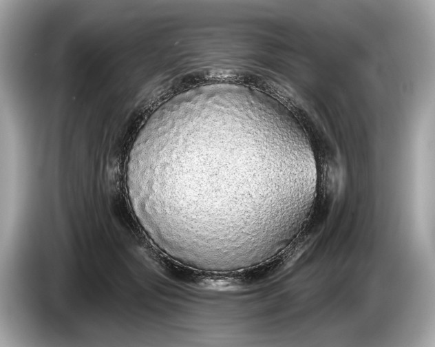 X0000085080557200703191327