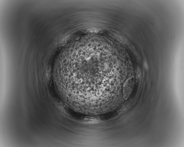 X0000085080559200703191327