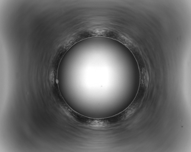 X0000085080562200703191327