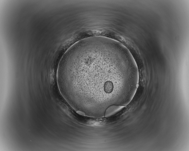 X0000085080563200703191327