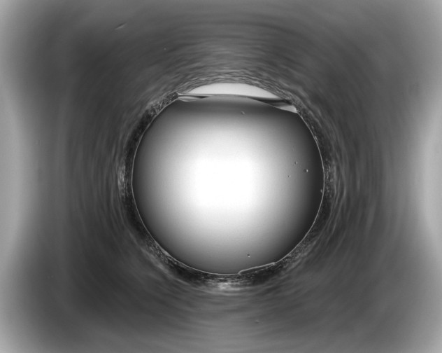 X0000085080564200703191327