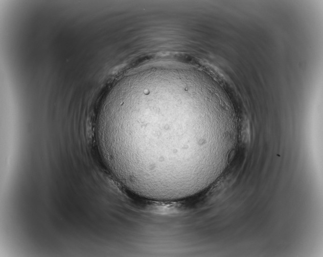 X0000085080569200703191327