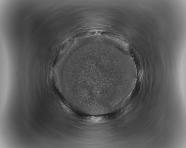 X0000085080570200703191327