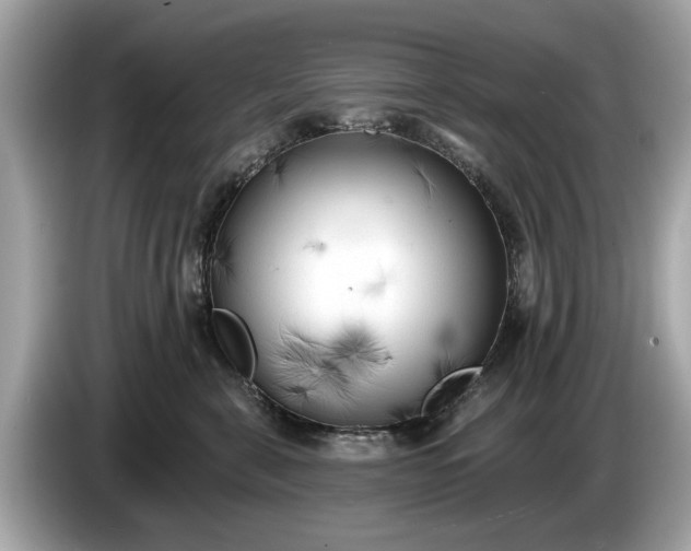 X0000085080571200703191327