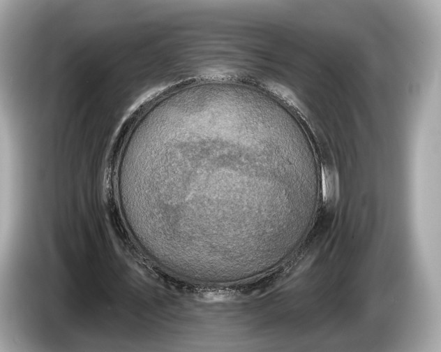 X0000085080579200703191326