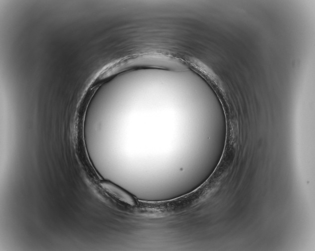 X0000085080580200703191326