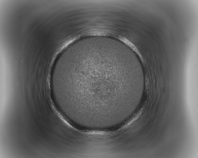 X0000085080581200703191326