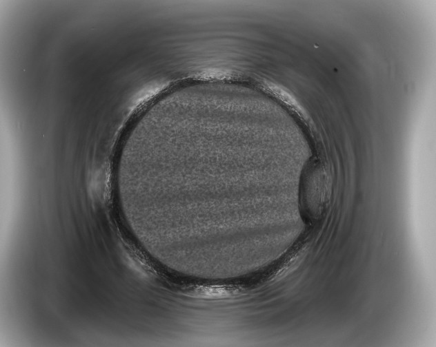 X0000085080588200703191326